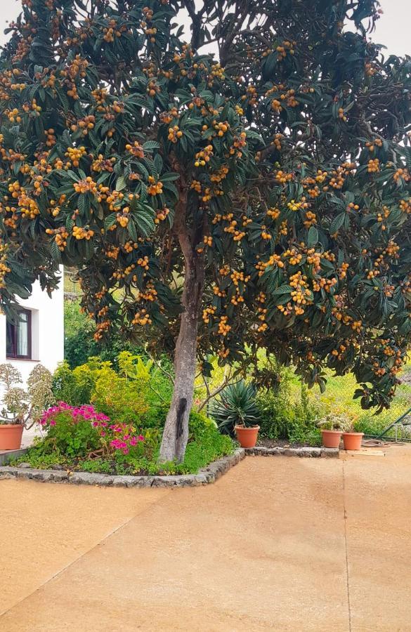 Casa El Nisperero Dom wakacyjny